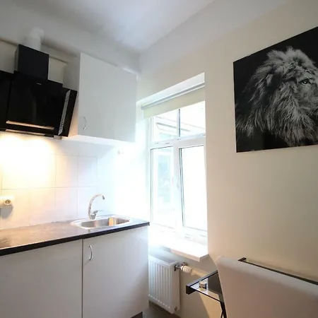 City Center Lacplesa Apartamento Riga